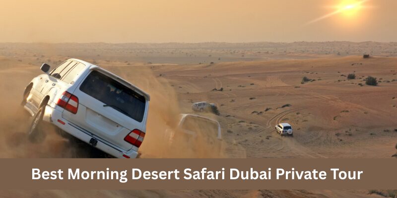 Best Morning Desert Safari Dubai Private Tour