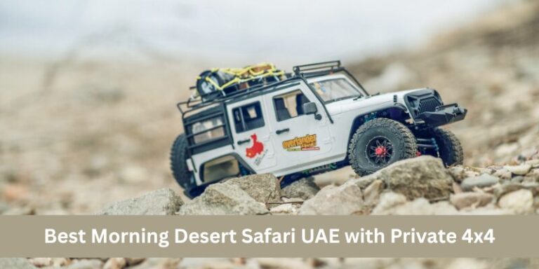 Best Morning Desert Safari UAE with Private 4x4